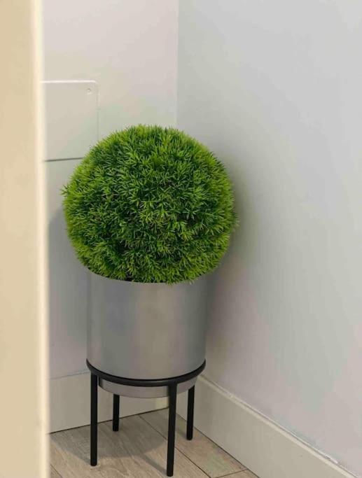 Encantador Apartamento Plaza Mayor Madrid Centro מראה חיצוני תמונה